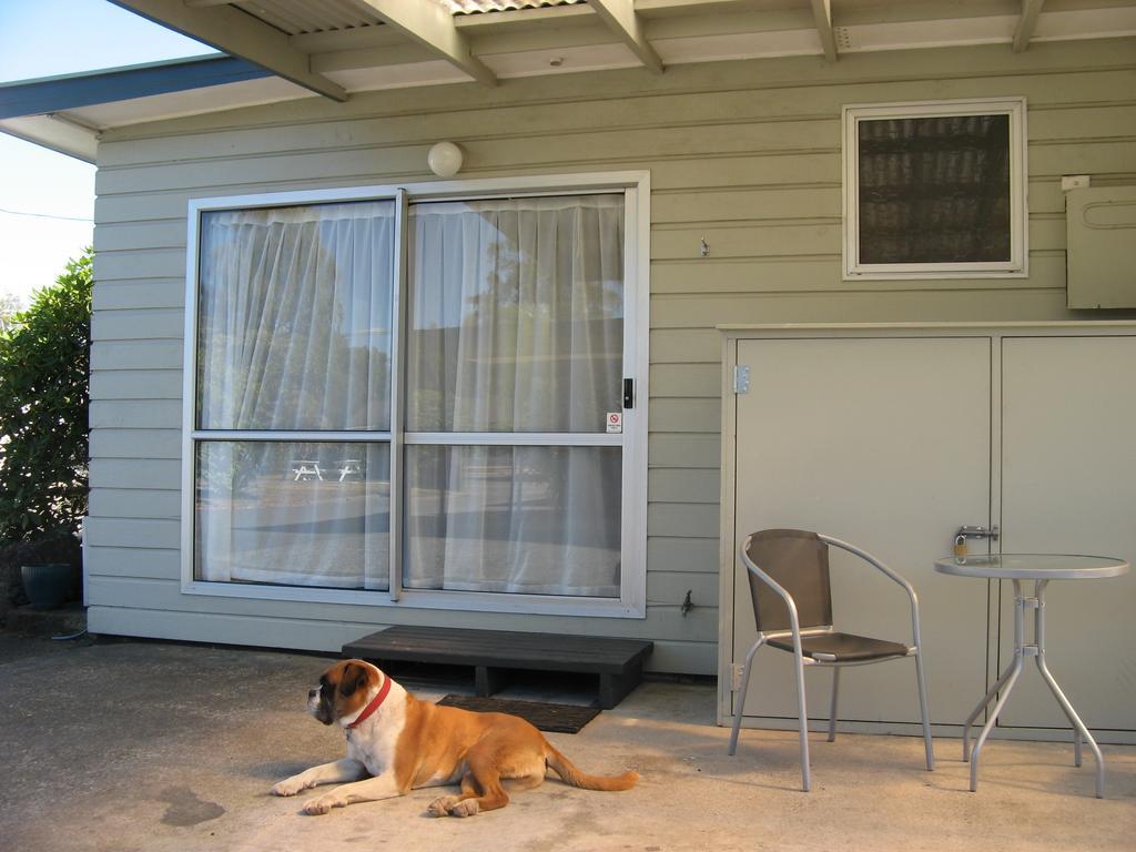 Tongariro River Motel Turangi Habitación foto